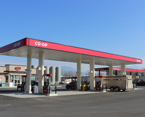Coop gas station covering with a flat roof